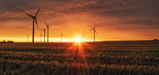 Myti’s Sustainability Mission