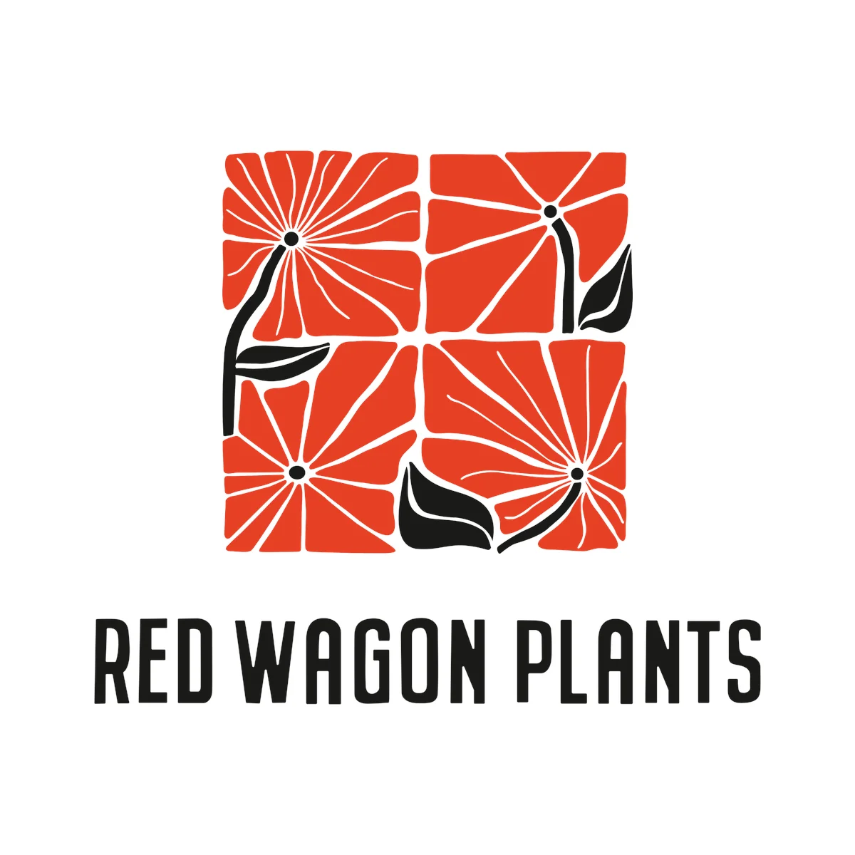 Red Wagon Plants