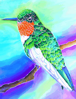 Vermont Artist - Nancy Jacobus (Sold Individually) by Homeportonline