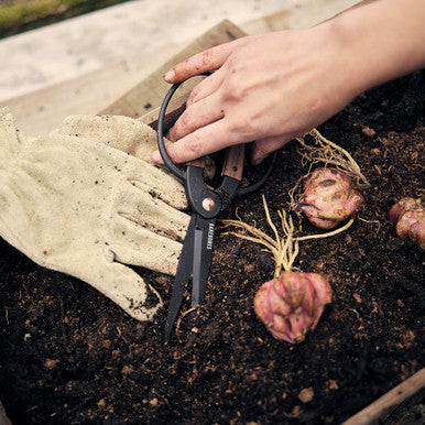 Barebones Garden Scissors
