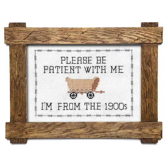 Subversive Cross Stitch Kits
