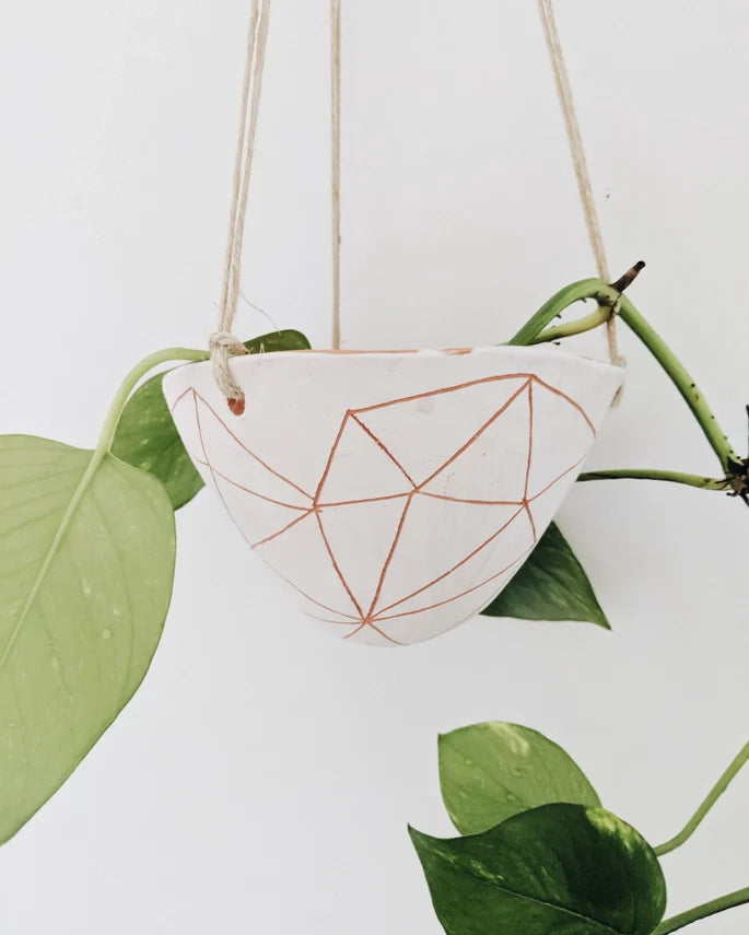 Hanging Planter