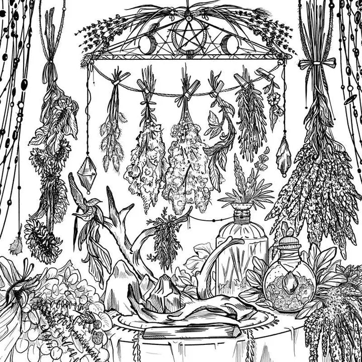 Green Witch's Coloring Book By Arin Murphy-Hiscock