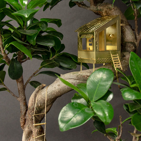 Tiny Treehouse For Your Plants