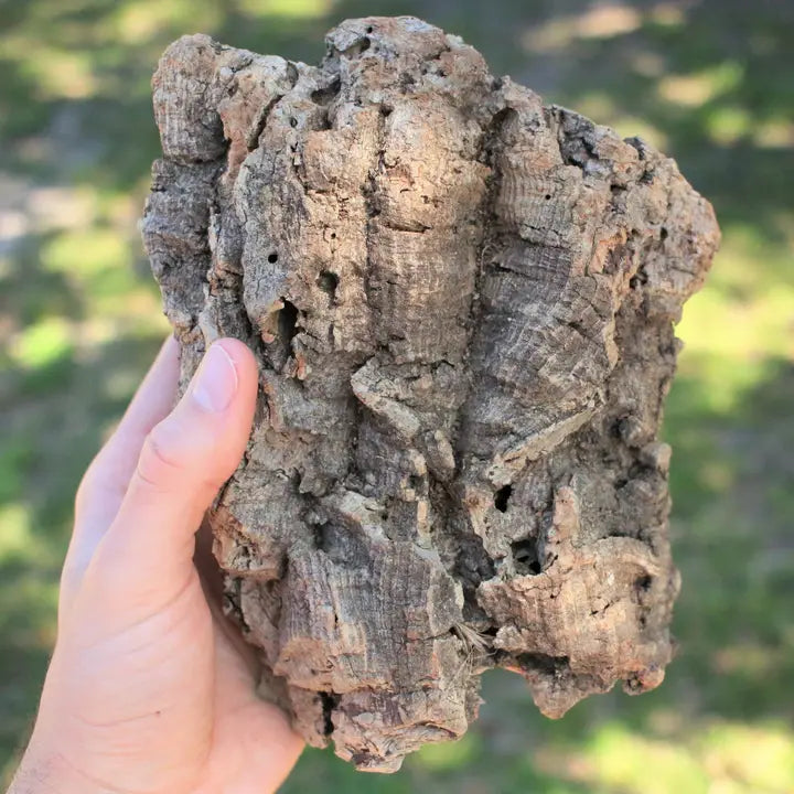 Virgin Cork Bark Slab