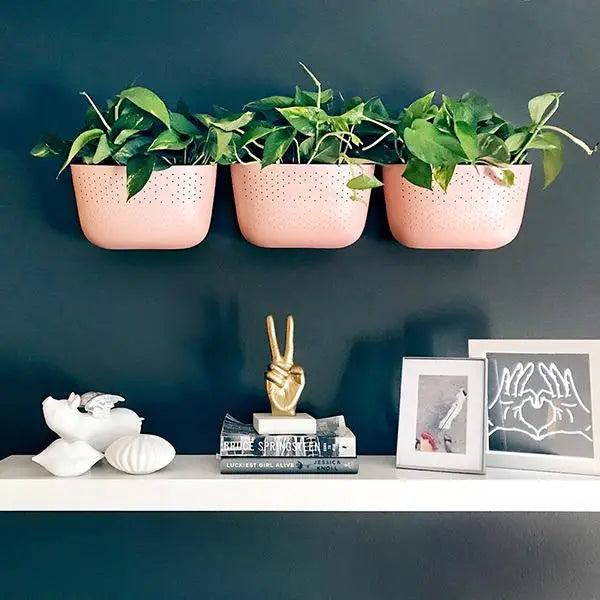 Sale! WallyGro Eco Planters (9 Colors Available)
