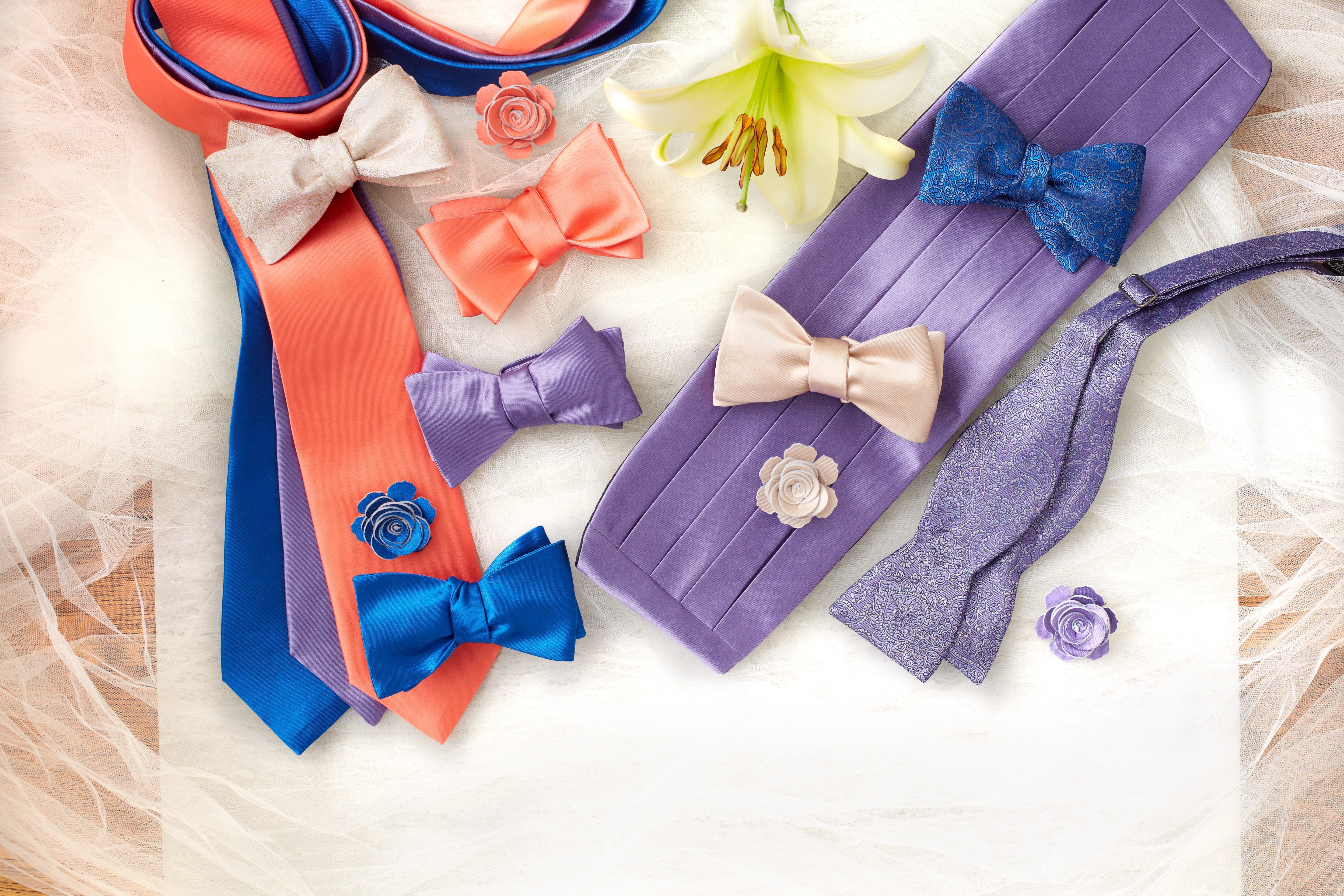 Somerville Lapis - bow ties