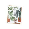 "A Friend Like You Is a Rare Find"- Plant Card