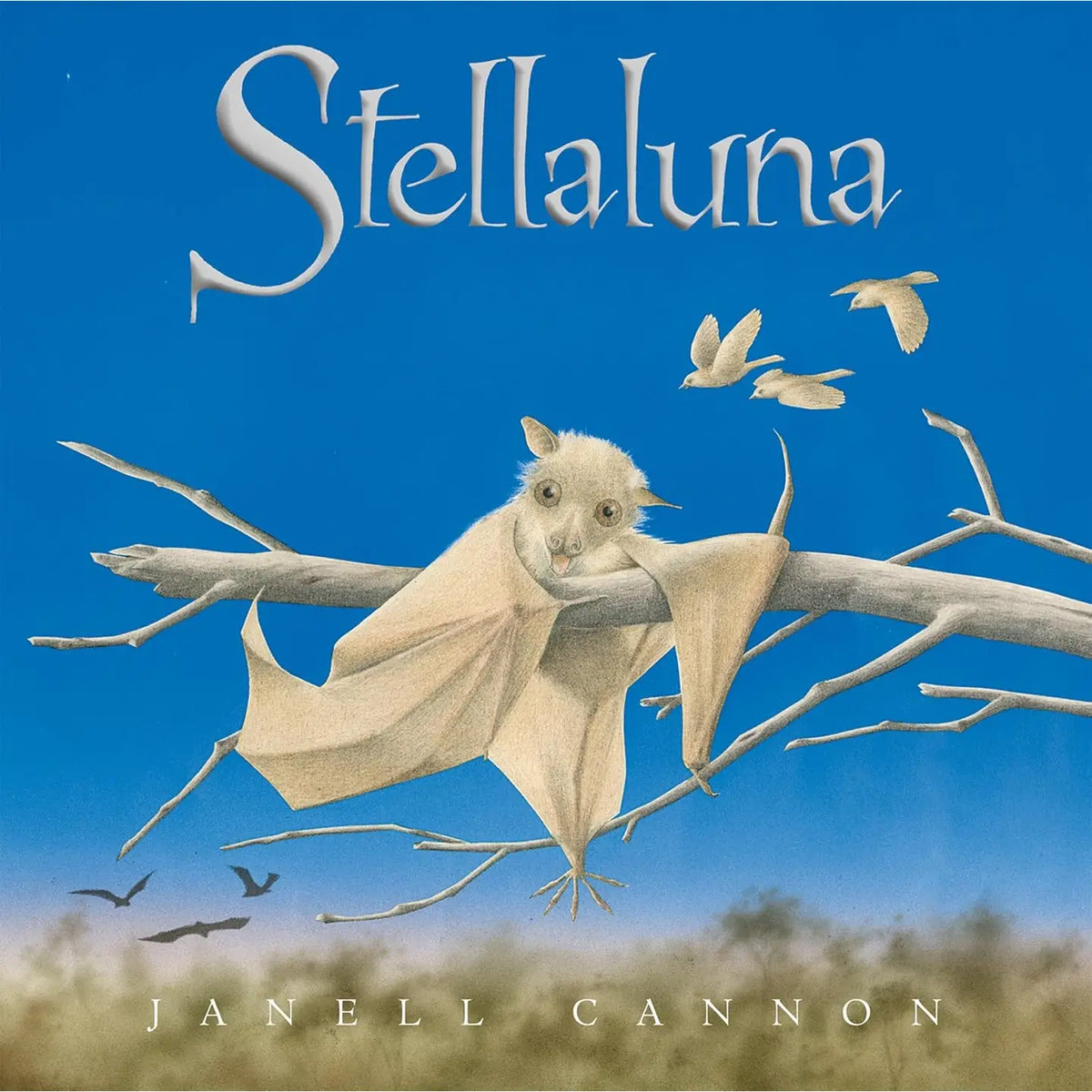 Stellaluna By Janell Cannon | Board Book