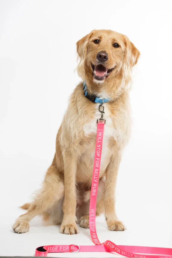 Sale!Dog Leash - Belly Rubs Pink