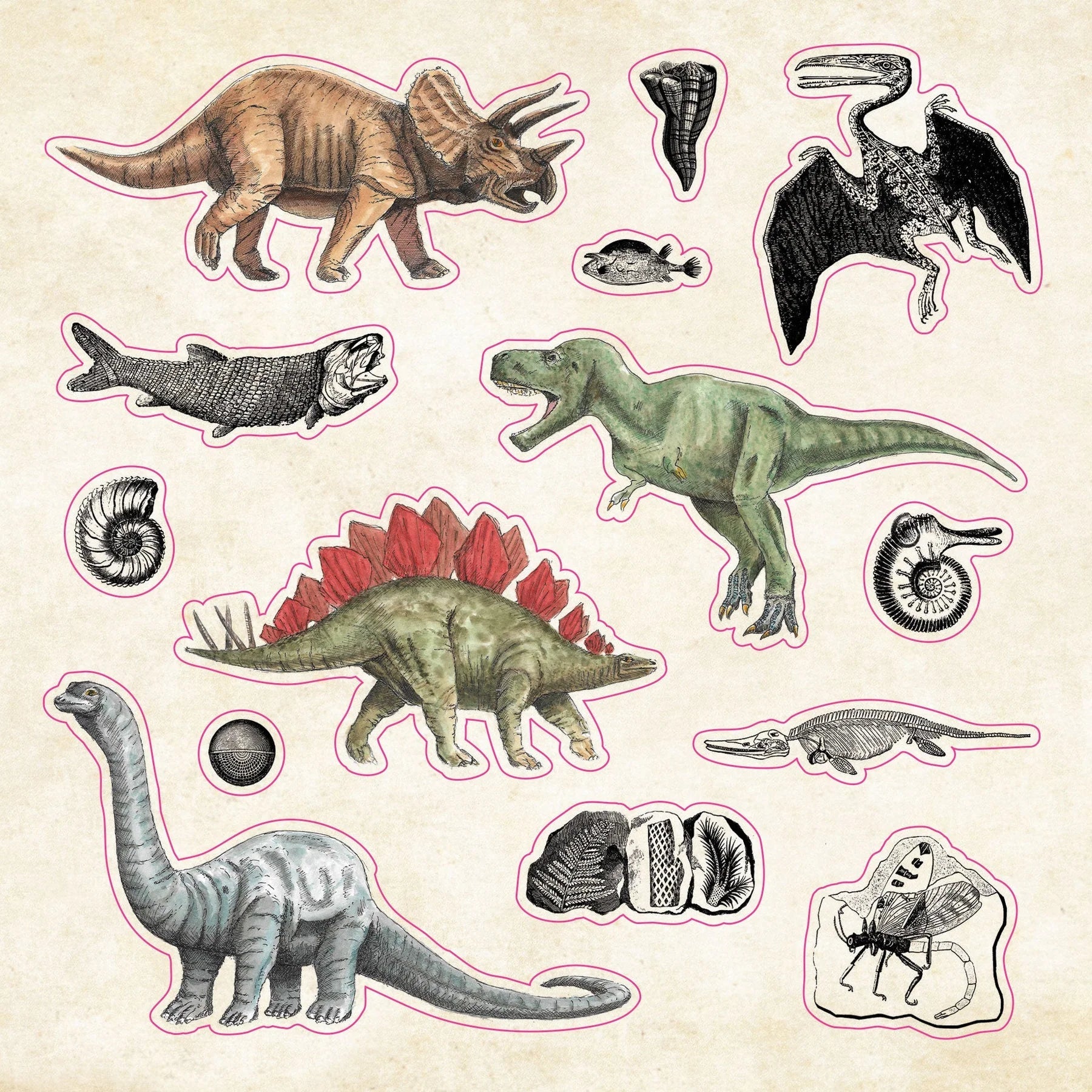 Sticker Book Curiosities by Homeportonline