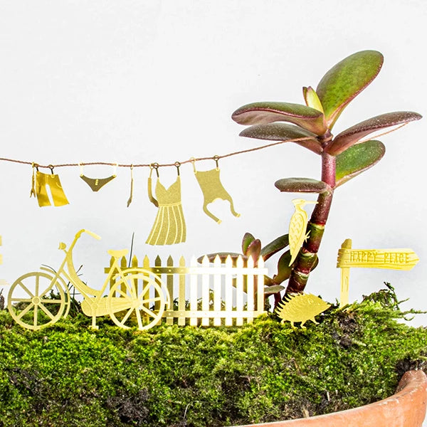Tiny Bike Adventure For Your Plants