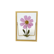 Real Pressed Flower Frame - Beautiful Flower Art