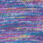 Plymouth Encore Colorspun by Must Love Yarn