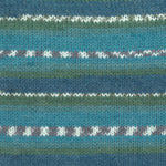 Plymouth Encore Colorspun by Must Love Yarn