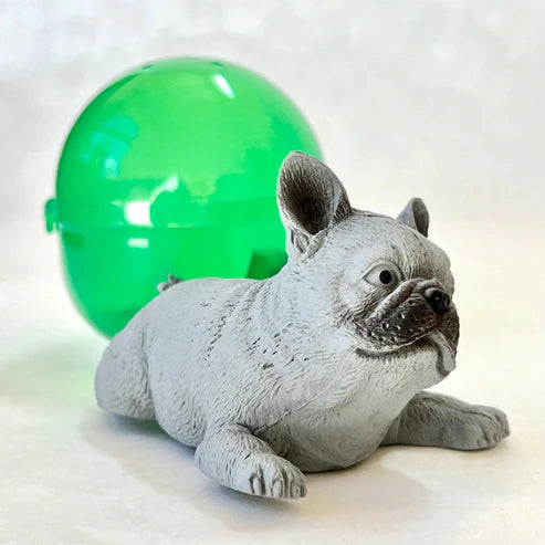 Gashapon Capsule For All Ages French Bulldog (Sold As An Individual Capsule) by Homeportonline