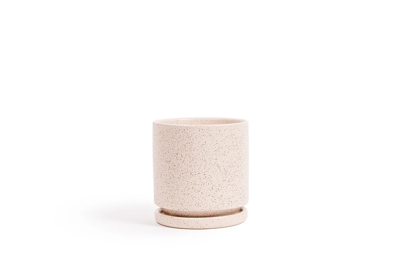 6.5" Gemstone Pot - with Water Saucer