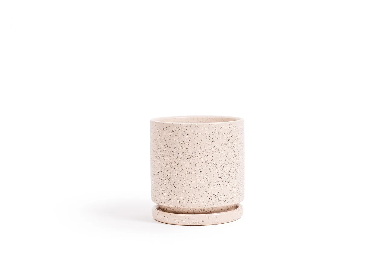 10.5" Gemstone Pot - with Water Saucer
