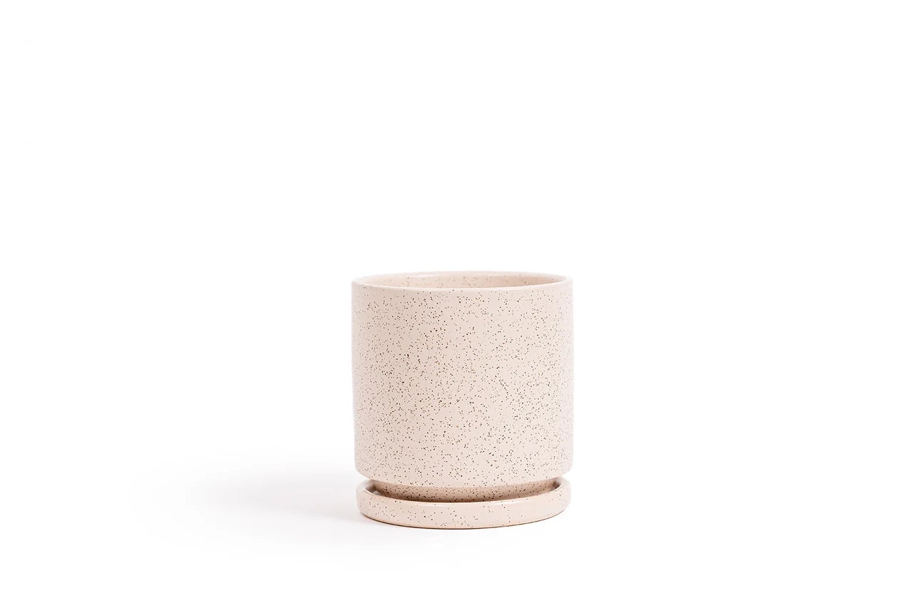 4.5" Gemstone Pot - with Water Saucer