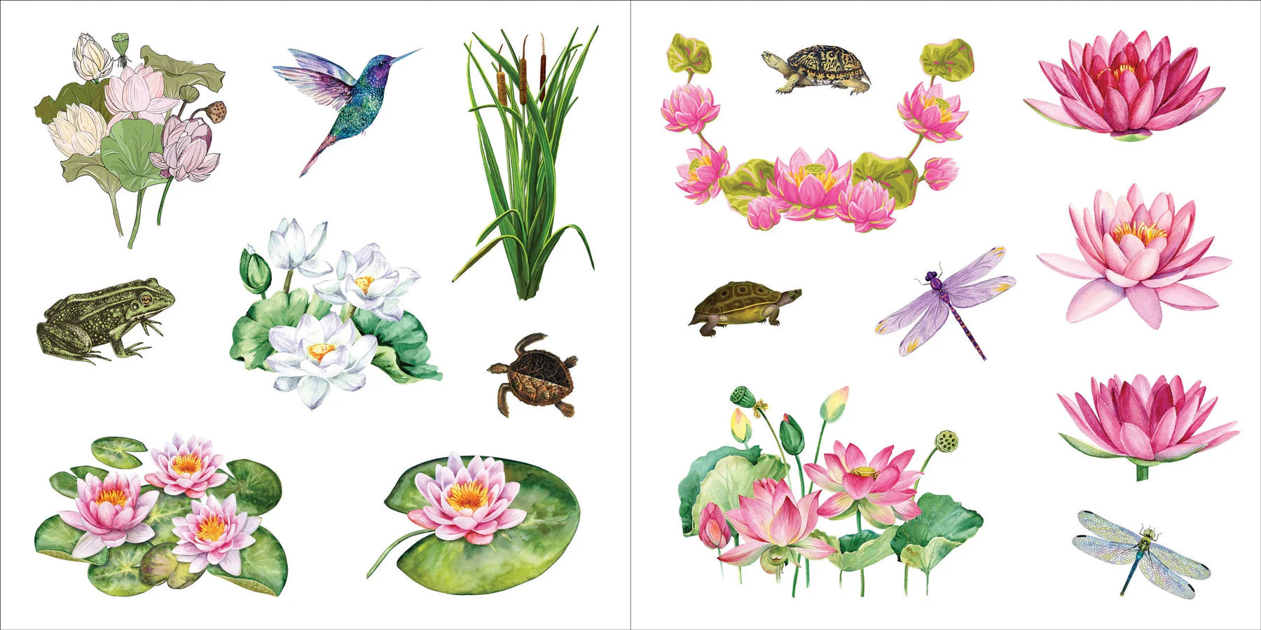 Sticker Book Bunches Of Botanicals by Homeportonline