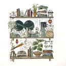Lizzy Gass Giclee Shelves Prints (8x10)