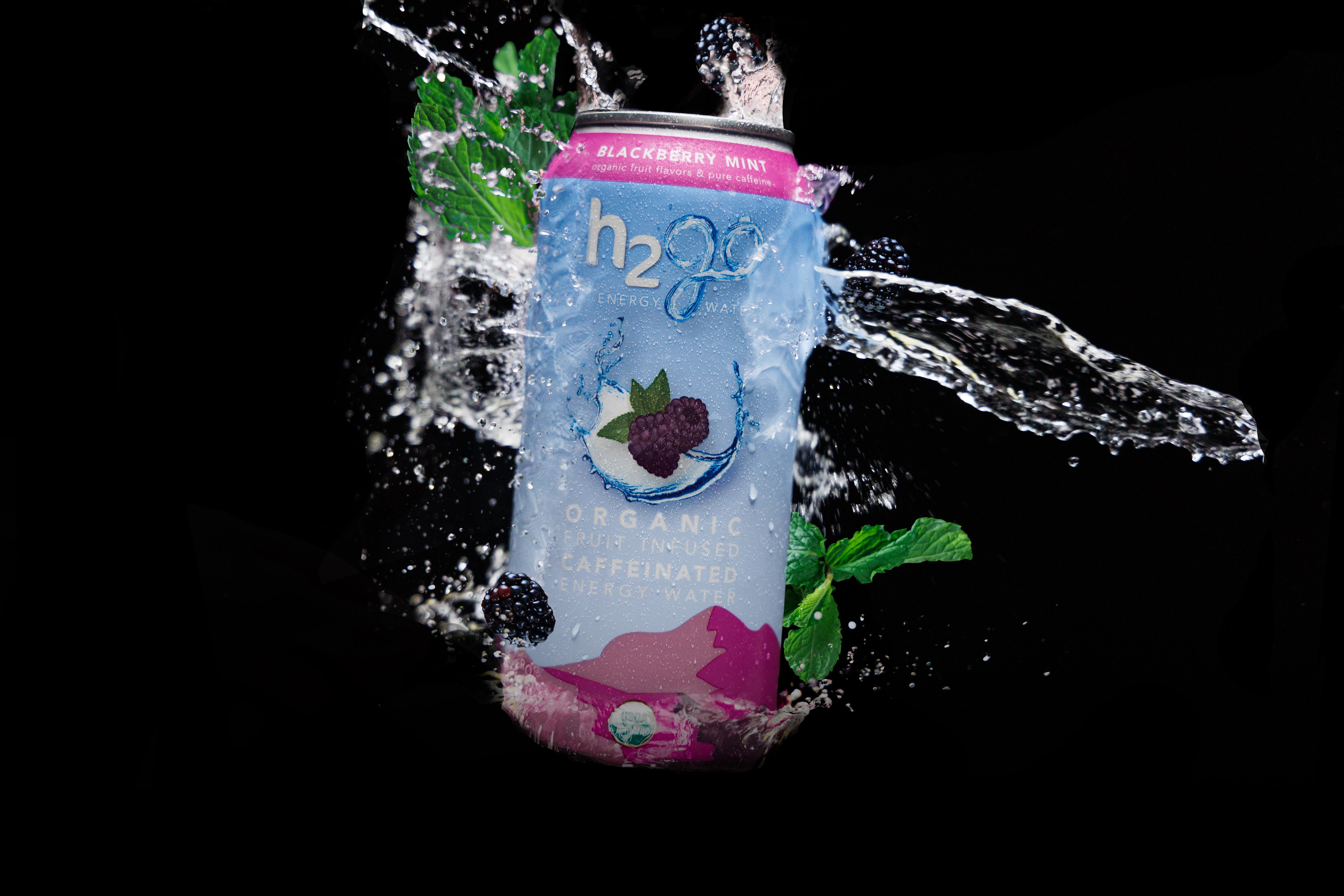 Blackberry Mint 12 Pack by h2go Energy Water