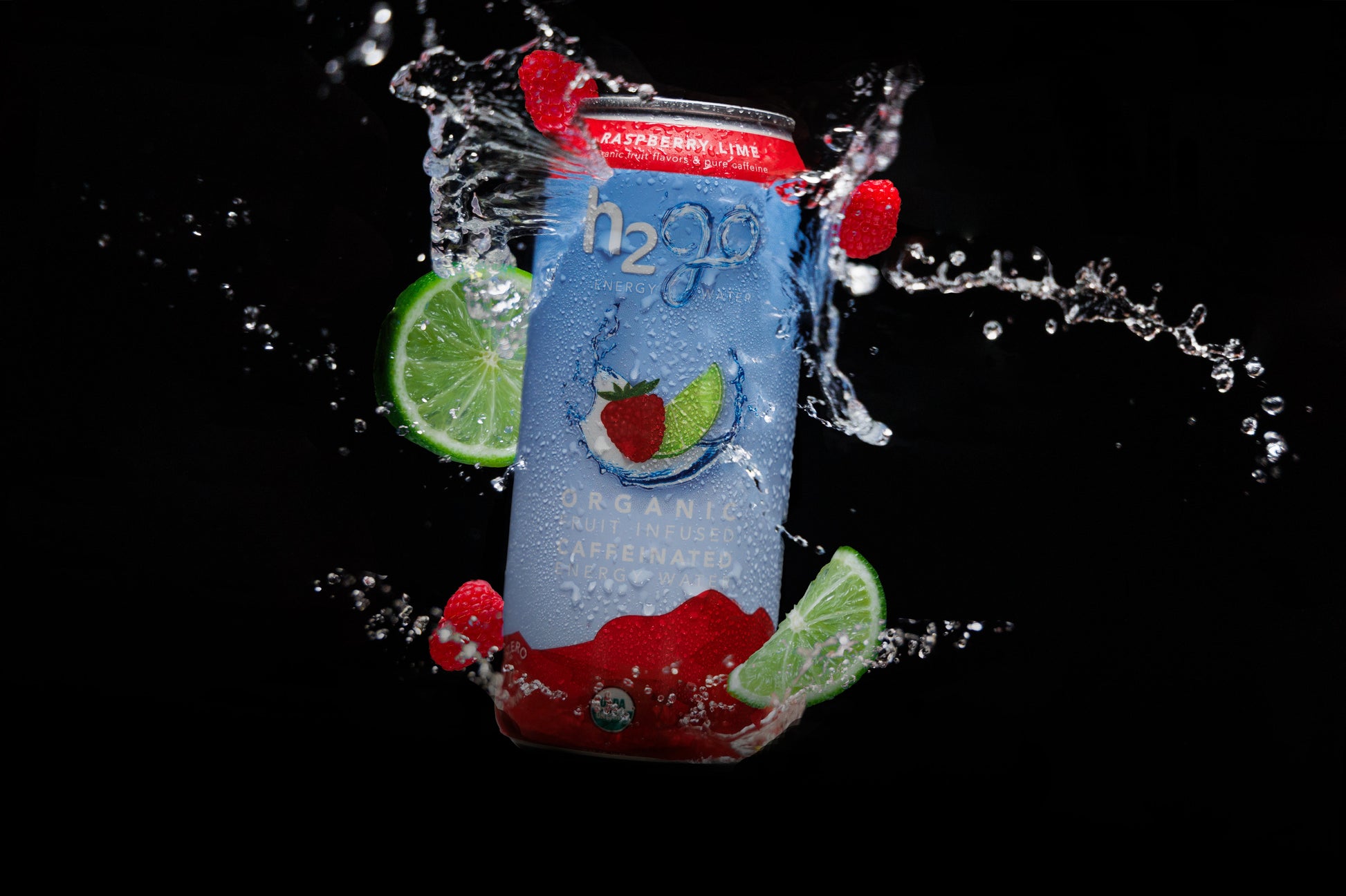 Raspberry Lime 12 Pack by h2go Energy Water