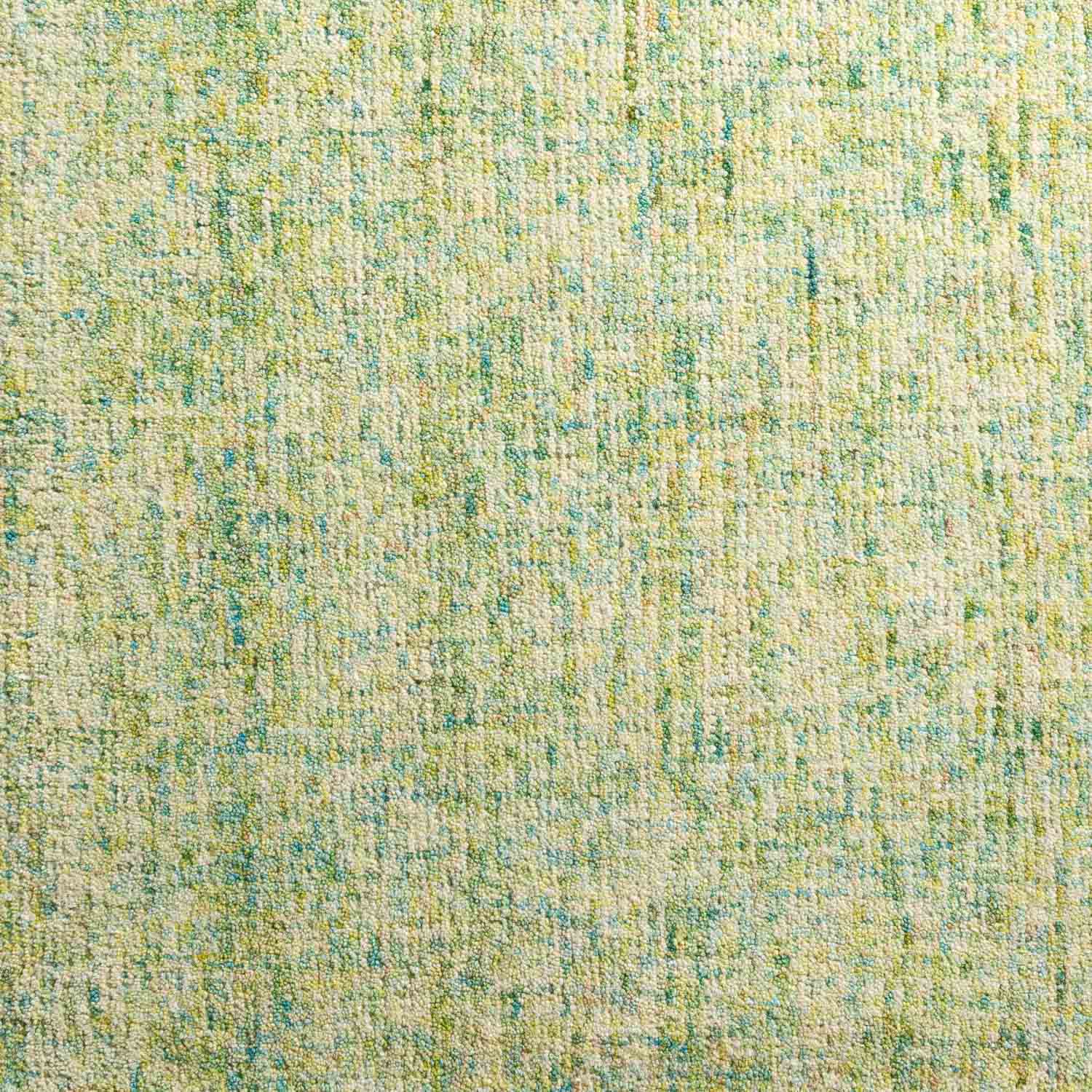 Calisa Rug Kiwi 3'6" X 5'6" by Homeportonline