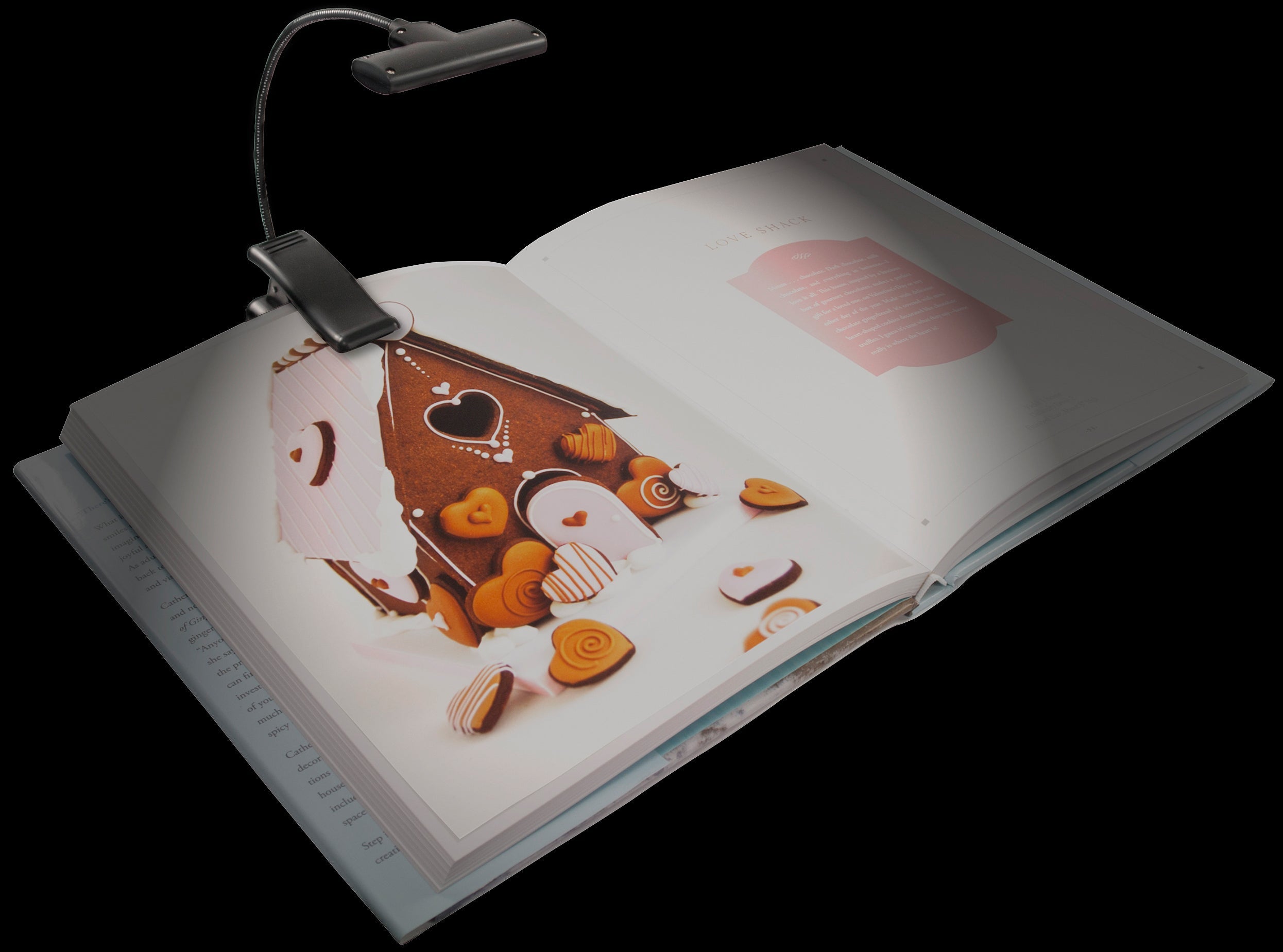 Reading & Book Light Moon Beam Clip On by Homeportonline