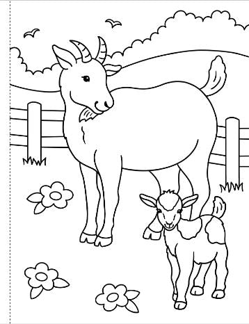 My First Coloring Book On The Farm by Homeportonline