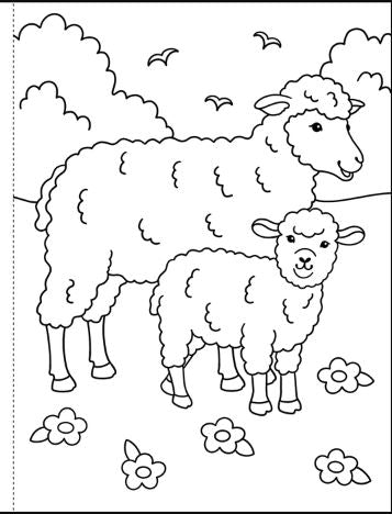 My First Coloring Book On The Farm by Homeportonline