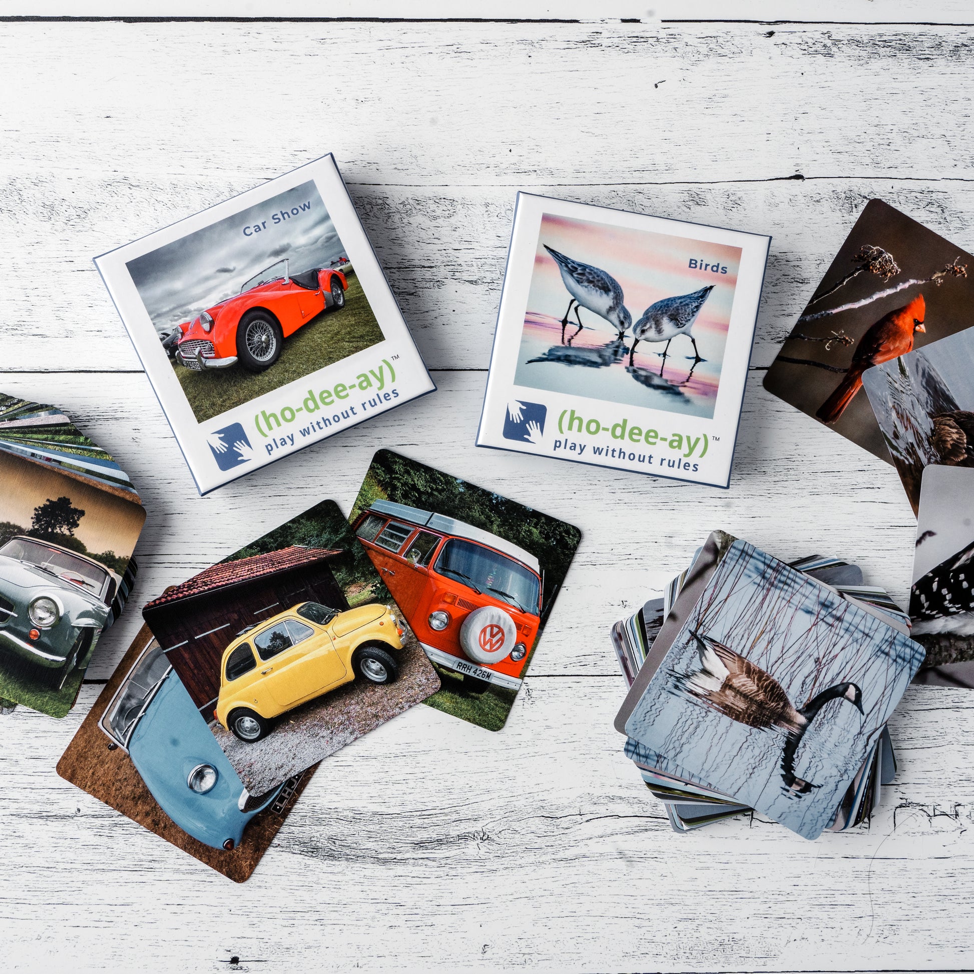 (ho-dee-ay) Bird & Car Show Pair by (ho-dee-ay)