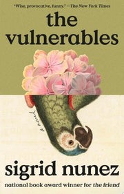 The Vulnerables A Novel