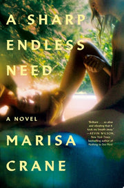 A Sharp Endless Need A Novel