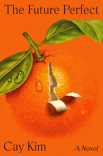 The Future Perfect A Novel