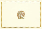 Note Cards Tree of Life