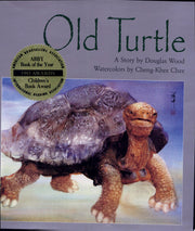 OLD TURTLE
