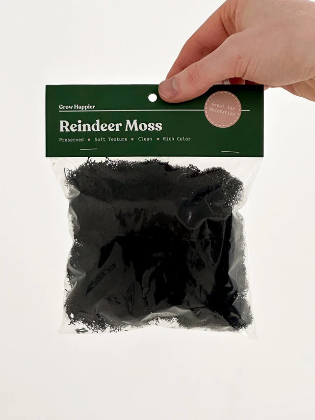 Preserved Reindeer Moss | Moss For Plants and Crafts
