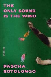 Only Sound Is the Wind: Stories