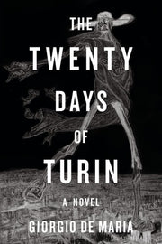 The Twenty Days of Turin A Novel