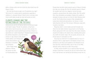 World Without Birds