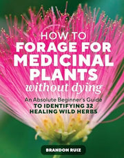 How to Forage for Medicinal Plants Without Dying