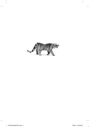 Paper Menagerie and Other Stories