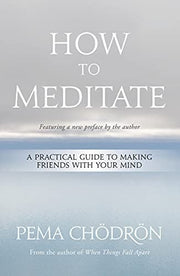How to Meditate A Practical Guide to Making Friend