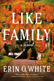 Like Family: A Novel