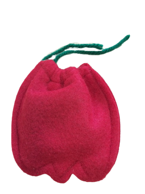 Doggie Styles Catnip Vermont Apple Cat Toy by Pet Food Warehouse