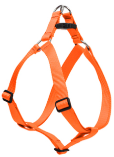 Lupine Step-In Dog Harness Orange 3/4" 20-30 by Pet Food Warehouse