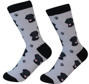 Socks Labrador Black by Pet Food Warehouse