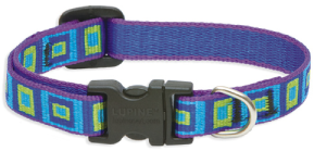 Lupine Collar Sea Glass 1/2" 8- 12 by Pet Food Warehouse