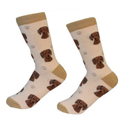 Socks Dachshund Red by Pet Food Warehouse